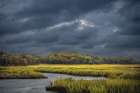 USA, New Jersey, Pine Barrens National Preserve. Storm over marsh and forest landscape. Art Print